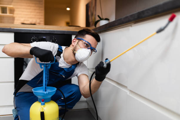 Best Affordable Exterminators  in Delmar, MD