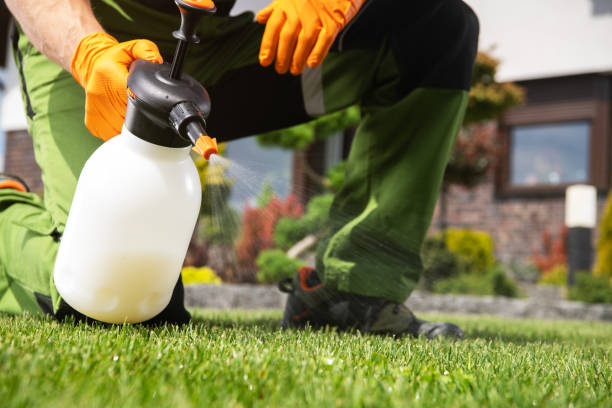 Best Rodent Control Near Me  in Delmar, MD