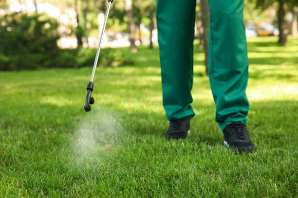 Best Residential Pest Control  in Delmar, MD