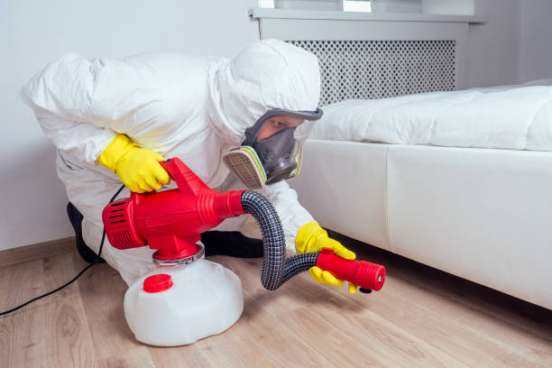 Best Flea Control Services  in Delmar, MD