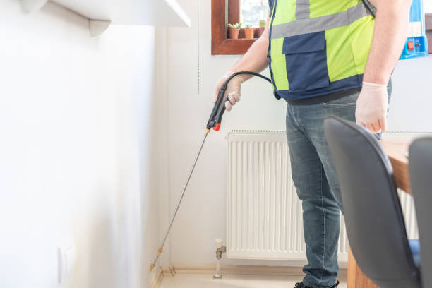 Reliable Delmar, MD Pest Control Solutions