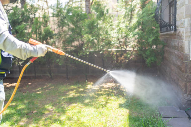 Best Pest Control Near Me  in Delmar, MD