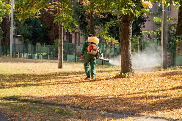 Pest Control Cost in Delmar, MD