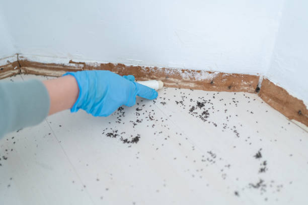 Best Exterminator Services  in Delmar, MD