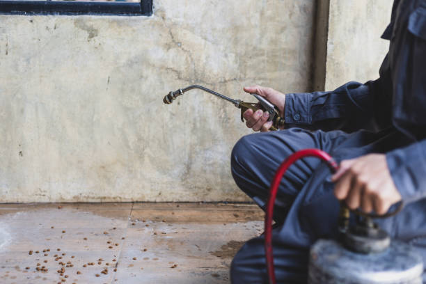 Best Exterminator Services  in Delmar, MD